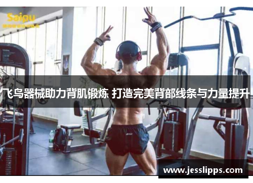 飞鸟器械助力背肌锻炼 打造完美背部线条与力量提升